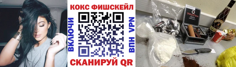 как найти закладки Новотроицк Cocaine Fish Scale