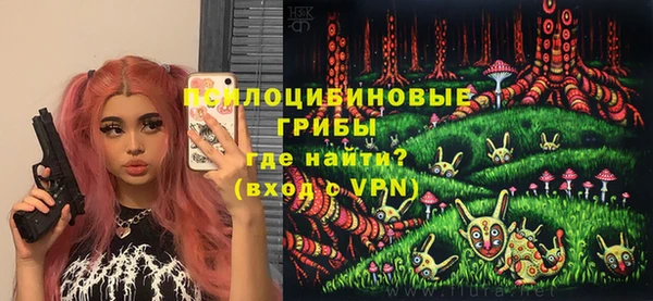 хмурый Нефтекумск