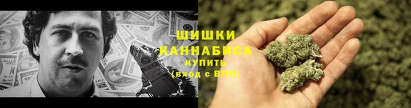 хмурый Нефтекумск