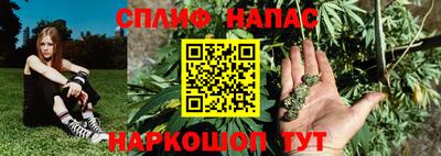 МДПВ Абинск