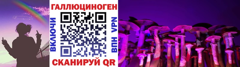 shop состав Новотроицк ОМГ ОМГ ONION Галлюциногенные грибы мицелий где купить