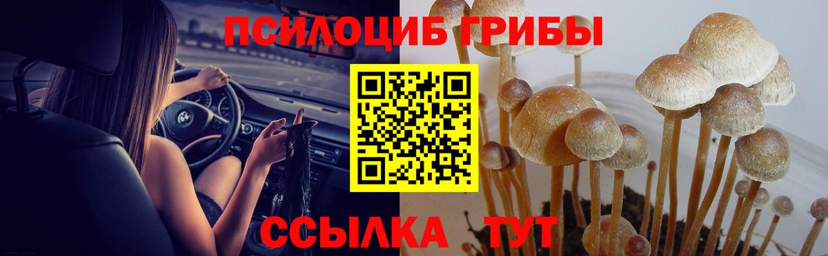 Новотроицк  Псилоцибиновые грибы мухоморы  Вход с VPN 