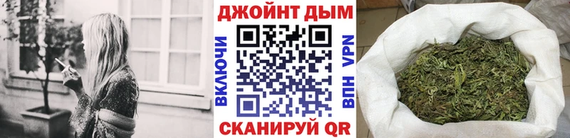 Бошки Шишки план  Новотроицк 